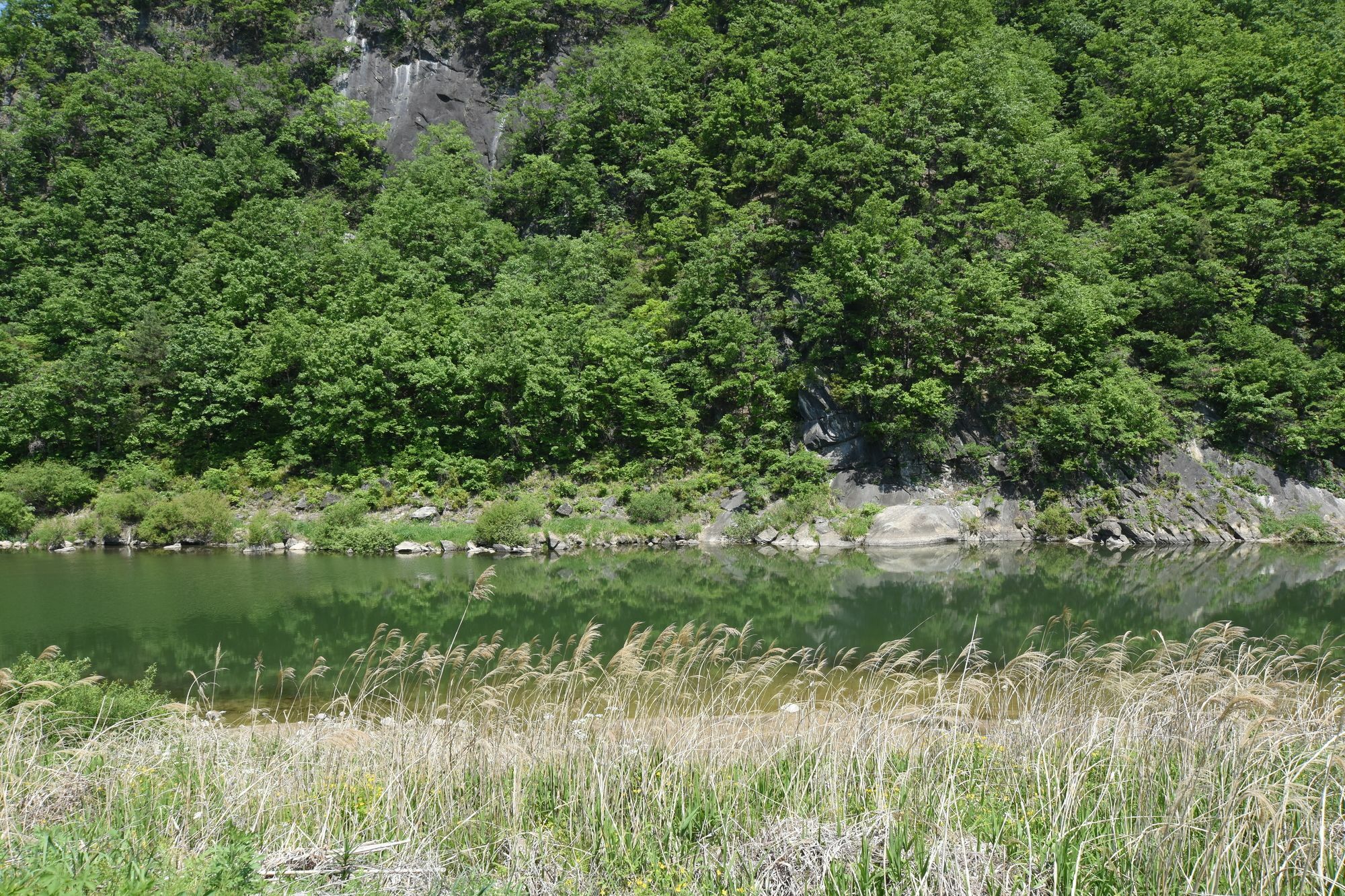 Ecopia Pension Pchjongčchang Exteriér fotografie